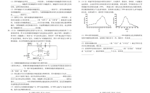 云南省昭通一中教研联盟2025-2026学年高一上学期期中考试生物（A）试卷（PDF版）_2025年12月高一试卷_251218云南省昭通一中教研联盟2025-2026学年高一上学期期中考试（A）（B）试卷