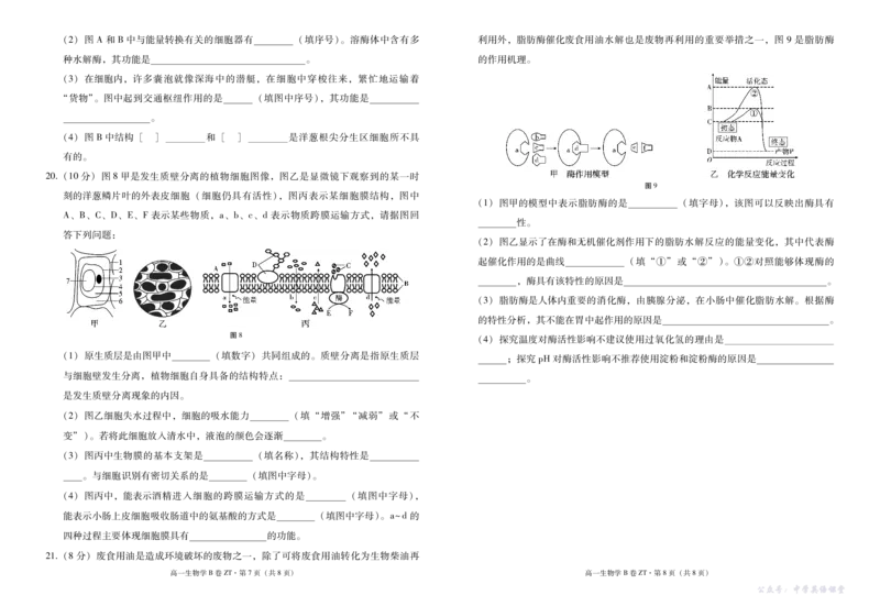 云南省昭通一中教研联盟2025-2026学年高一上学期期中考试生物（B）试卷（PDF版）_2025年12月高一试卷_251218云南省昭通一中教研联盟2025-2026学年高一上学期期中考试（A）（B）试卷