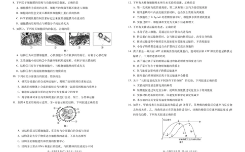 云南省昭通一中教研联盟2025-2026学年高一上学期期中考试生物（B）试卷（PDF版）_2025年12月高一试卷_251218云南省昭通一中教研联盟2025-2026学年高一上学期期中考试（A）（B）试卷