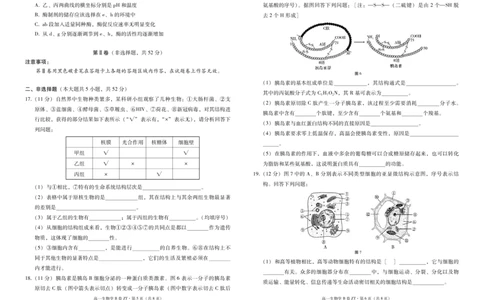 云南省昭通一中教研联盟2025-2026学年高一上学期期中考试生物（B）试卷（PDF版）_2025年12月高一试卷_251218云南省昭通一中教研联盟2025-2026学年高一上学期期中考试（A）（B）试卷
