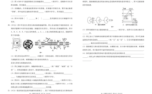 云南省昭通一中教研联盟2025-2026学年高一上学期期中考试生物（B）试卷（PDF版）_2025年12月高一试卷_251218云南省昭通一中教研联盟2025-2026学年高一上学期期中考试（A）（B）试卷