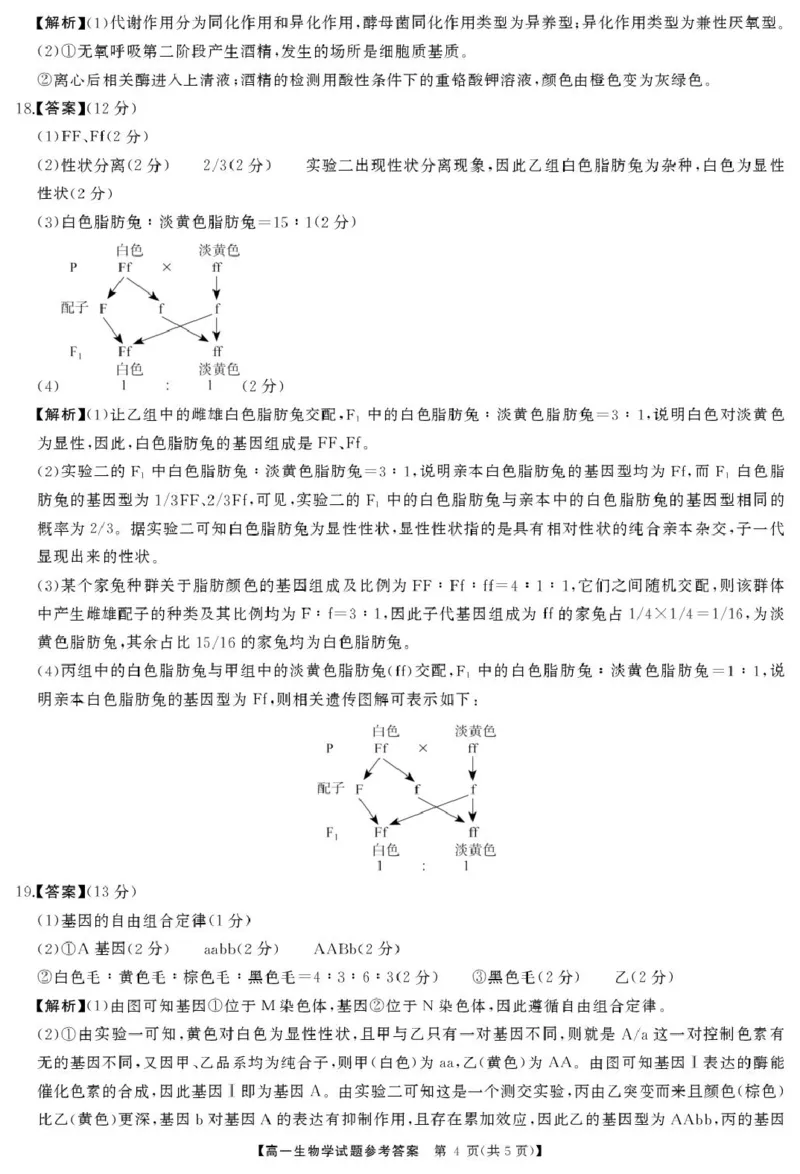 三湘名校教育联盟-2025年上学期高一期中考试-生物学生物答案_2025年04月试卷_0425湖南省三湘名校教育联盟2024-2025学年高一下学期期中考试