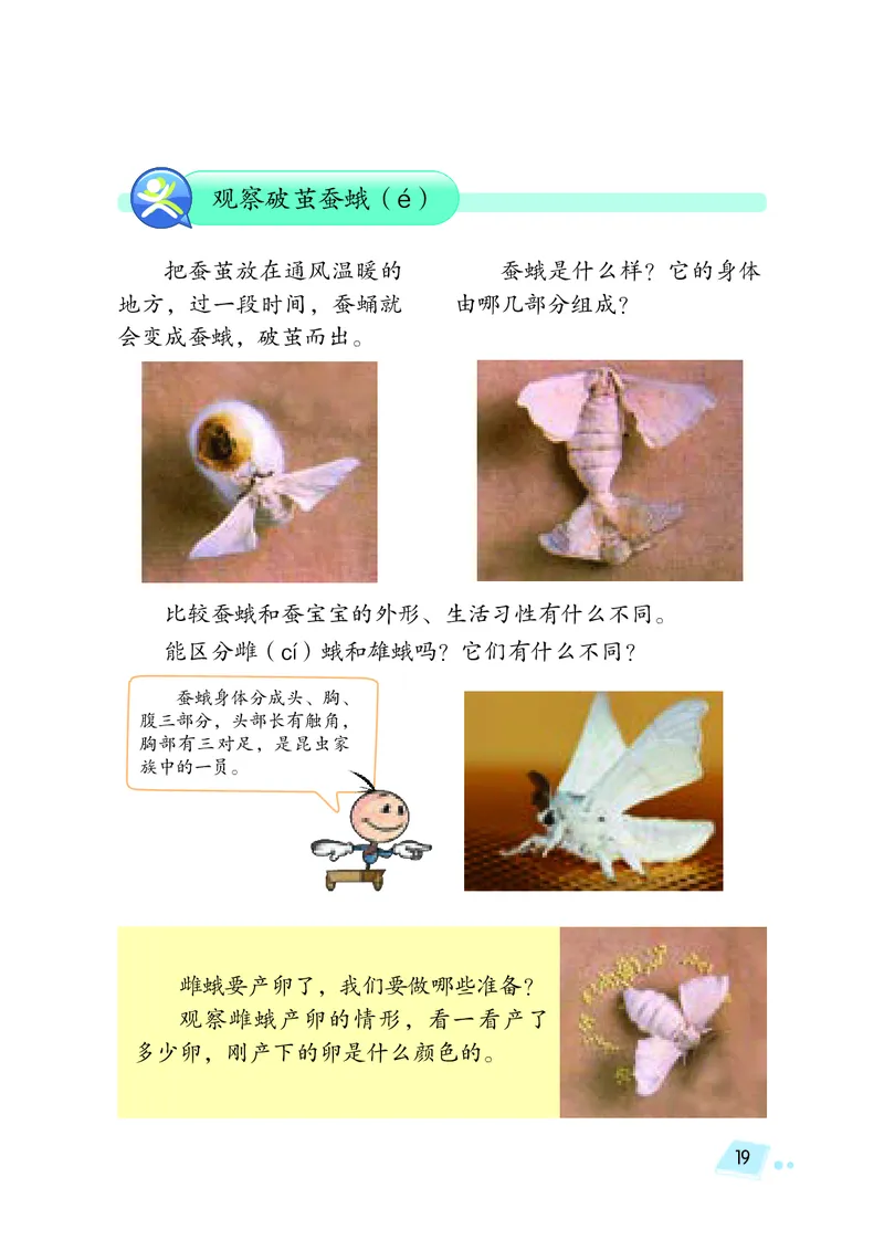 义务教育教科书&middot;科学四年级下册_电子课本_小学电子课本_05科学_湘科版