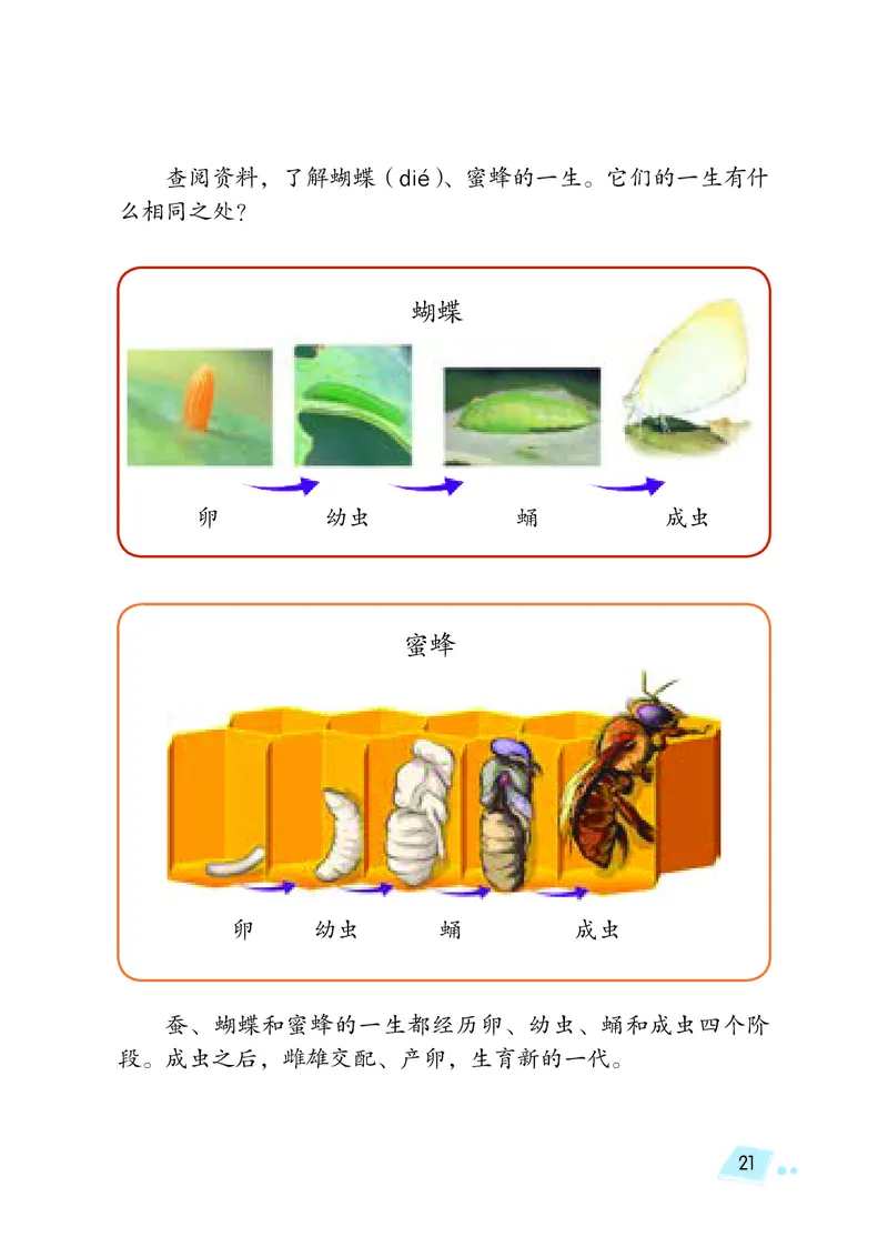 义务教育教科书&middot;科学四年级下册_电子课本_小学电子课本_05科学_湘科版