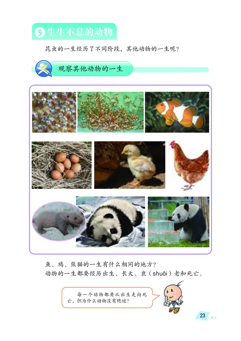 义务教育教科书&middot;科学四年级下册_电子课本_小学电子课本_05科学_湘科版