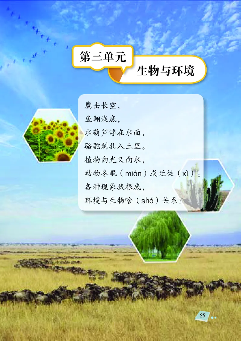 义务教育教科书&middot;科学四年级下册_电子课本_小学电子课本_05科学_湘科版