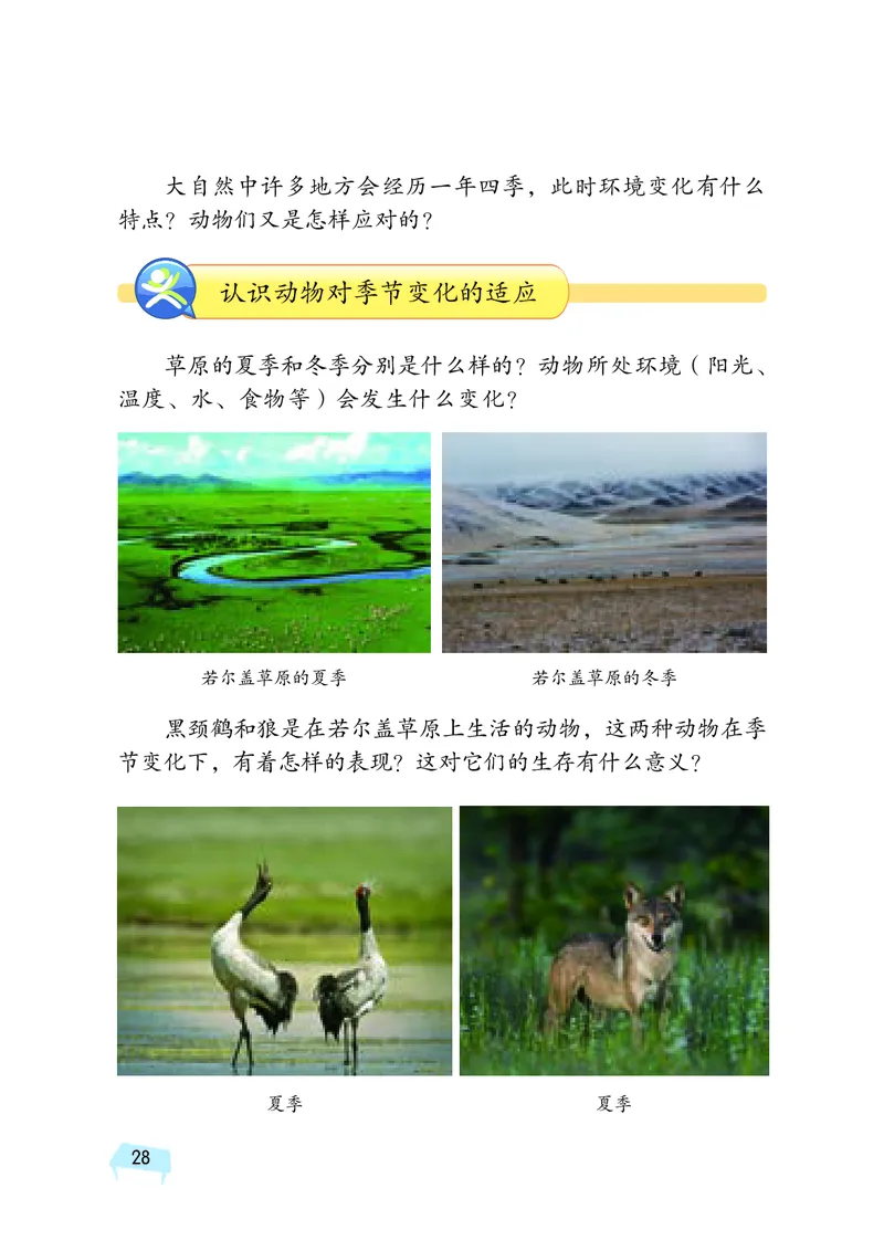 义务教育教科书&middot;科学四年级下册_电子课本_小学电子课本_05科学_湘科版