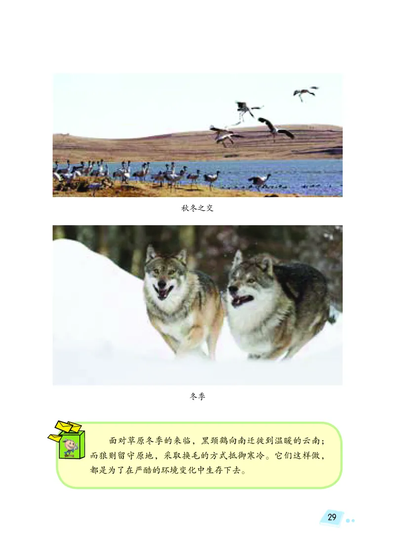 义务教育教科书&middot;科学四年级下册_电子课本_小学电子课本_05科学_湘科版