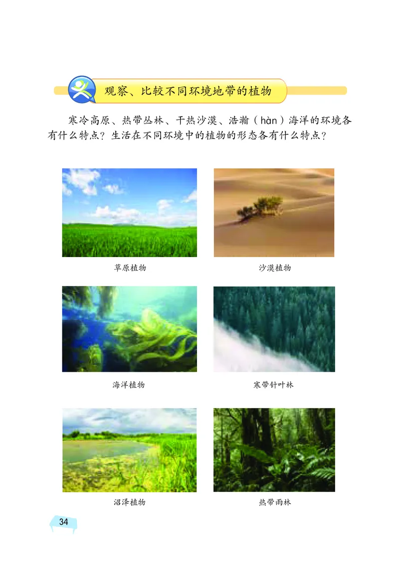 义务教育教科书&middot;科学四年级下册_电子课本_小学电子课本_05科学_湘科版
