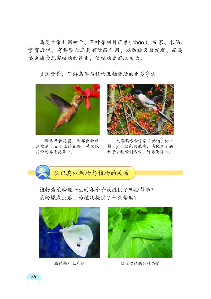 义务教育教科书&middot;科学四年级下册_电子课本_小学电子课本_05科学_湘科版