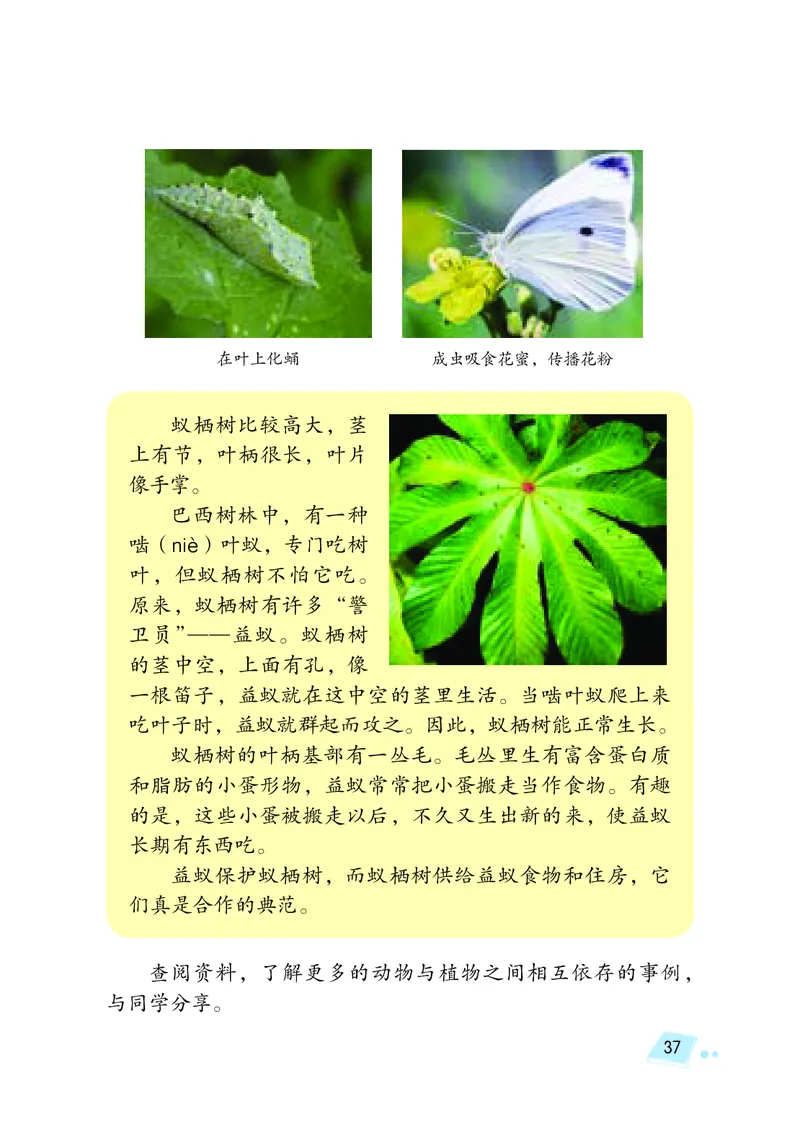 义务教育教科书&middot;科学四年级下册_电子课本_小学电子课本_05科学_湘科版