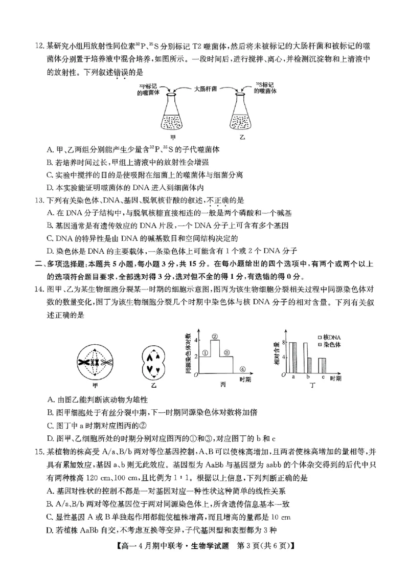 六校联盟2025年4月期中联考生物试卷_2025年05月试卷_0519河北省保定市六校联盟2024-2025学年高一下学期4月期中考试