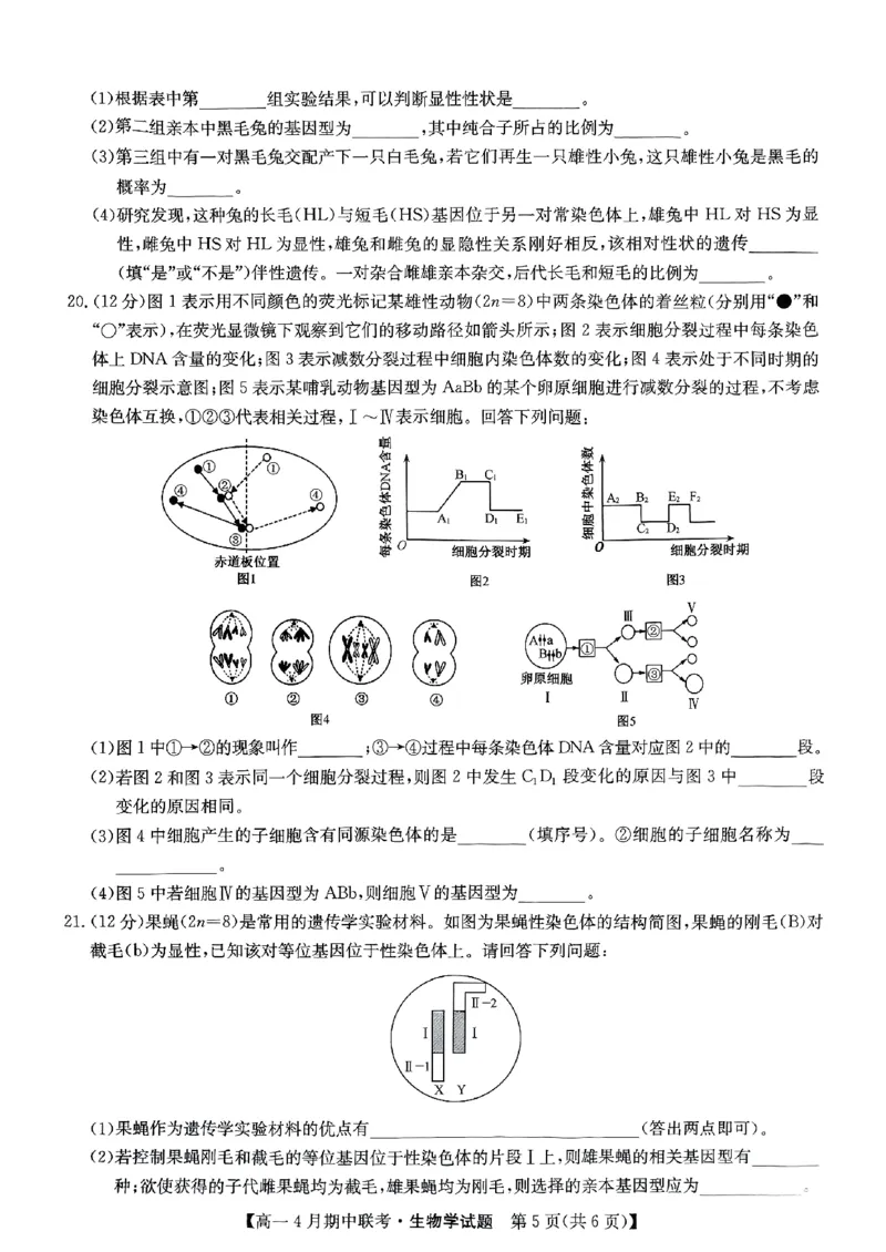六校联盟2025年4月期中联考生物试卷_2025年05月试卷_0519河北省保定市六校联盟2024-2025学年高一下学期4月期中考试