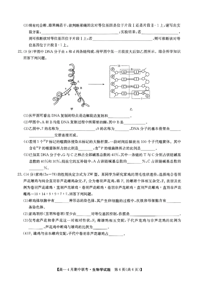 六校联盟2025年4月期中联考生物试卷_2025年05月试卷_0519河北省保定市六校联盟2024-2025学年高一下学期4月期中考试