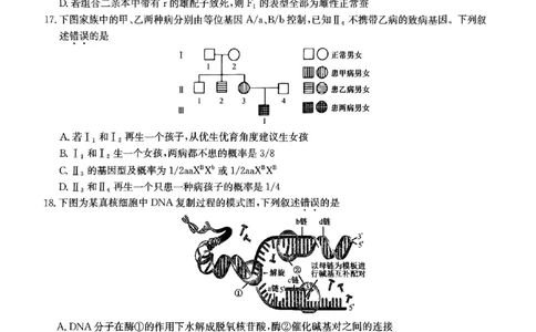 六校联盟2025年4月期中联考生物试卷_2025年05月试卷_0519河北省保定市六校联盟2024-2025学年高一下学期4月期中考试