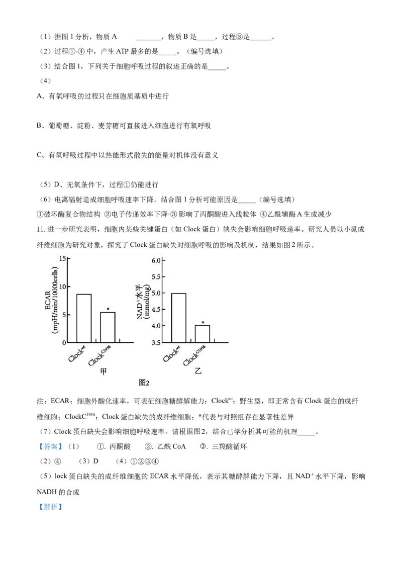 上海市闵行区2024-2025学年高一上学期期末生物试题Word版含解析_2025年03月试卷_0311上海市闵行区2024-2025学年高一上学期期末考试