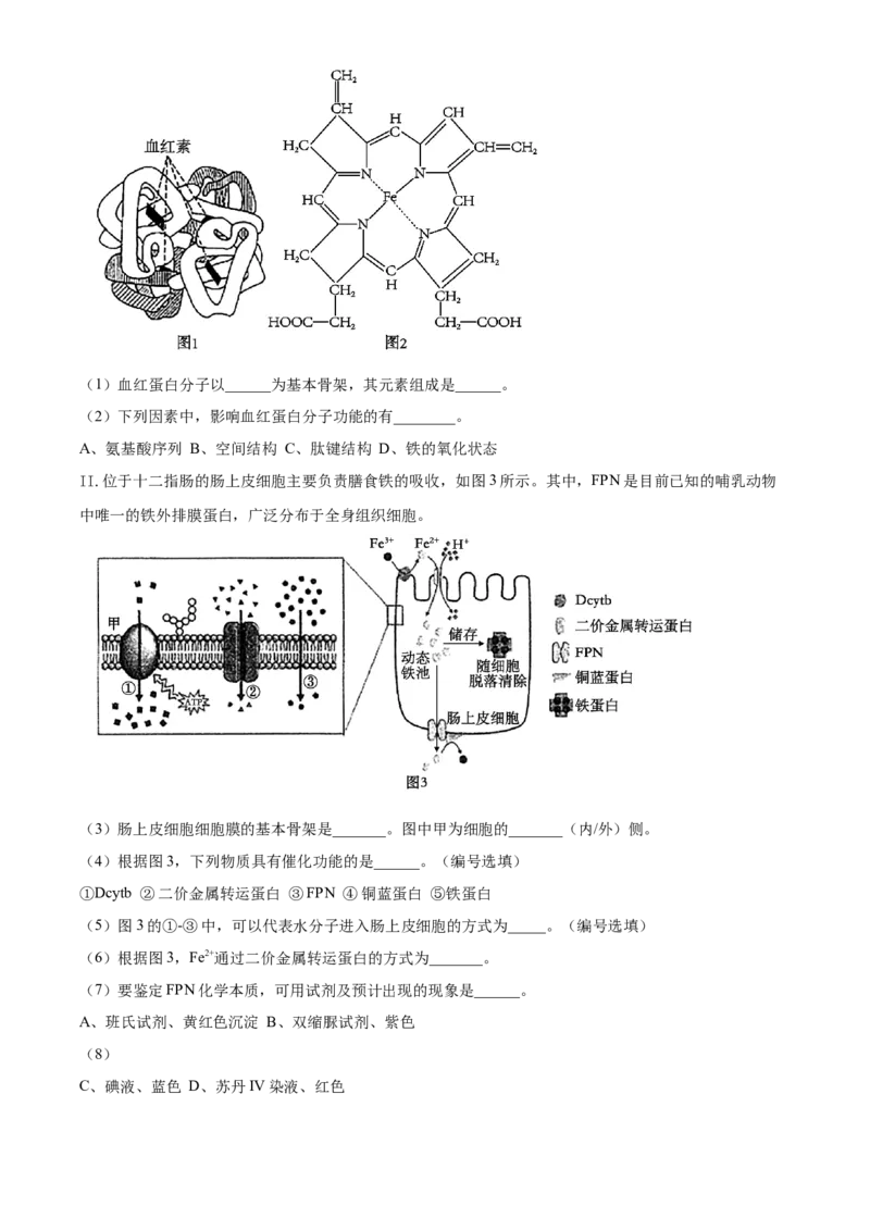 上海市闵行区2024-2025学年高一上学期期末生物试题Word版含解析_2025年03月试卷_0311上海市闵行区2024-2025学年高一上学期期末考试