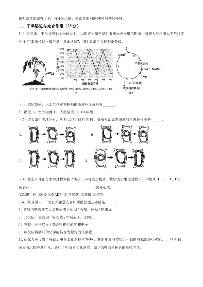 上海市闵行区2024-2025学年高一上学期期末生物试题Word版含解析_2025年03月试卷_0311上海市闵行区2024-2025学年高一上学期期末考试
