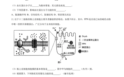 上海市闵行区2024-2025学年高一上学期期末生物试题Word版含解析_2025年03月试卷_0311上海市闵行区2024-2025学年高一上学期期末考试