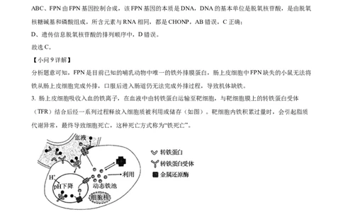上海市闵行区2024-2025学年高一上学期期末生物试题Word版含解析_2025年03月试卷_0311上海市闵行区2024-2025学年高一上学期期末考试