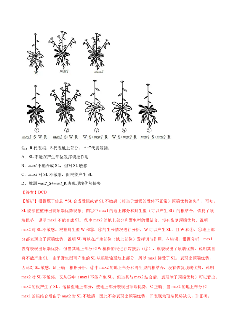 专题09植物的激素调节-十年（2012-2021）高考生物真题分项汇编（全国通用）（解析版）_高考真题分类汇编(2012-2022)生物_高考真题分项汇编(2012-2021)生物