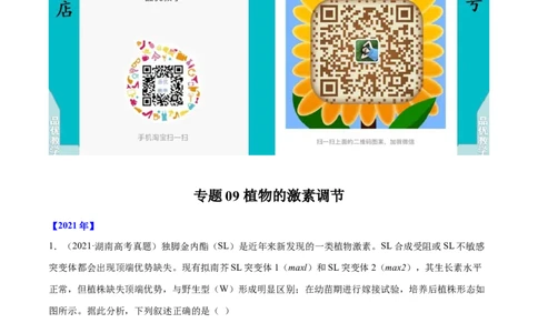 专题09植物的激素调节-十年（2012-2021）高考生物真题分项汇编（全国通用）（解析版）_高考真题分类汇编(2012-2022)生物_高考真题分项汇编(2012-2021)生物