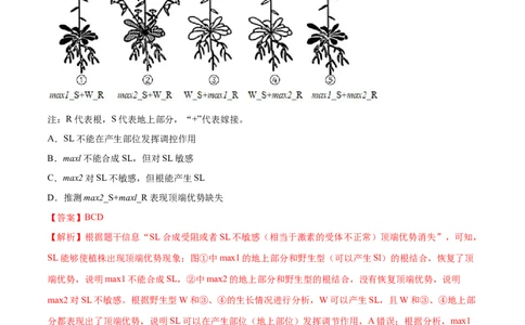 专题09植物的激素调节-十年（2012-2021）高考生物真题分项汇编（全国通用）（解析版）_高考真题分类汇编(2012-2022)生物_高考真题分项汇编(2012-2021)生物