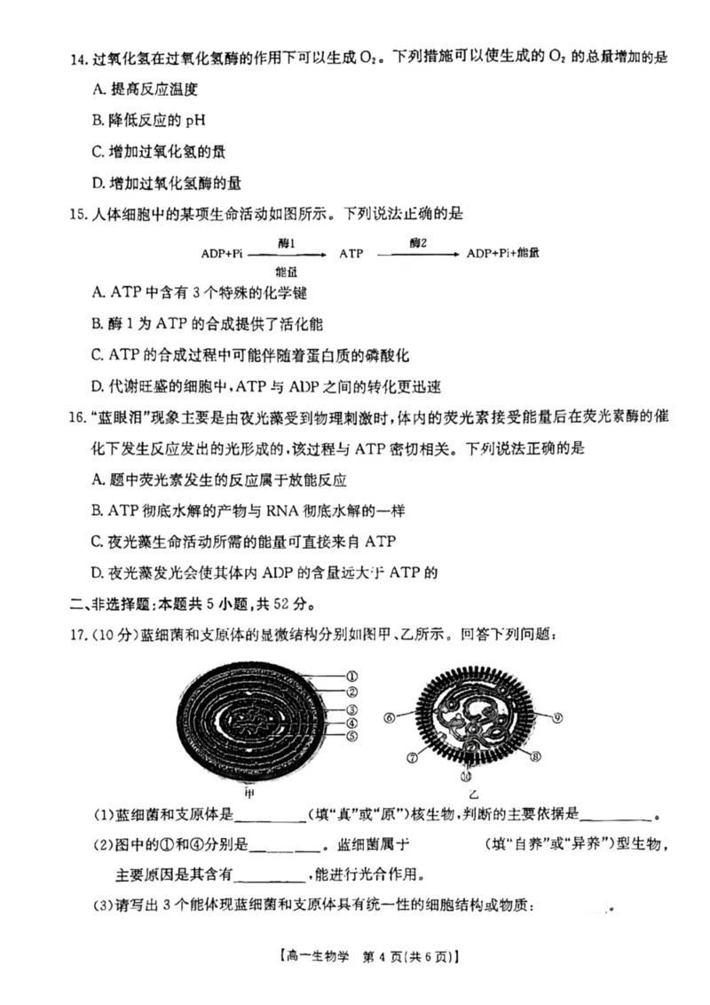 云南省昆明市五华区2024-2025学年高一上学期12月月考生物试题_2024年12月试卷_1230云南省昆明市五华区2024-2025学年高一上学期12月月考试题