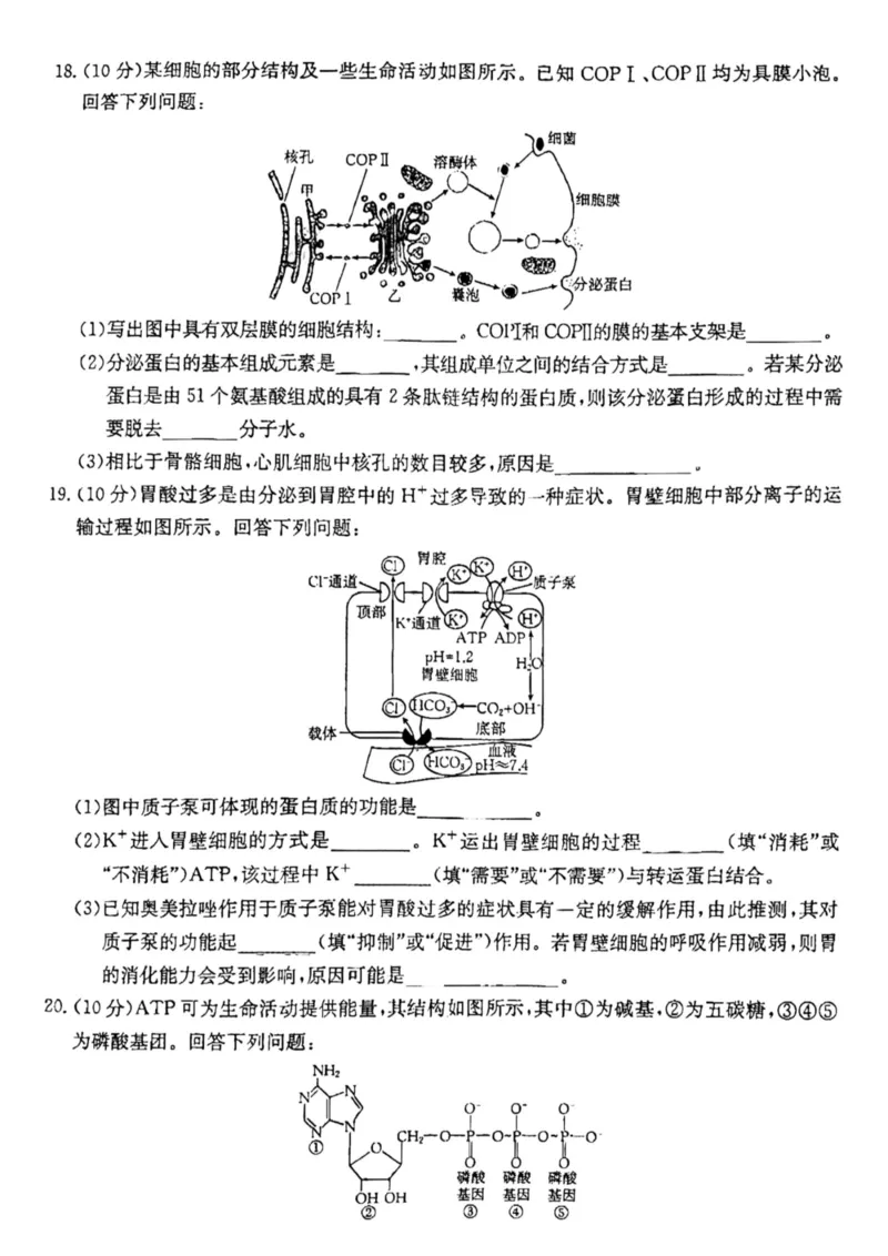 云南省昆明市五华区2024-2025学年高一上学期12月月考生物试题_2024年12月试卷_1230云南省昆明市五华区2024-2025学年高一上学期12月月考试题