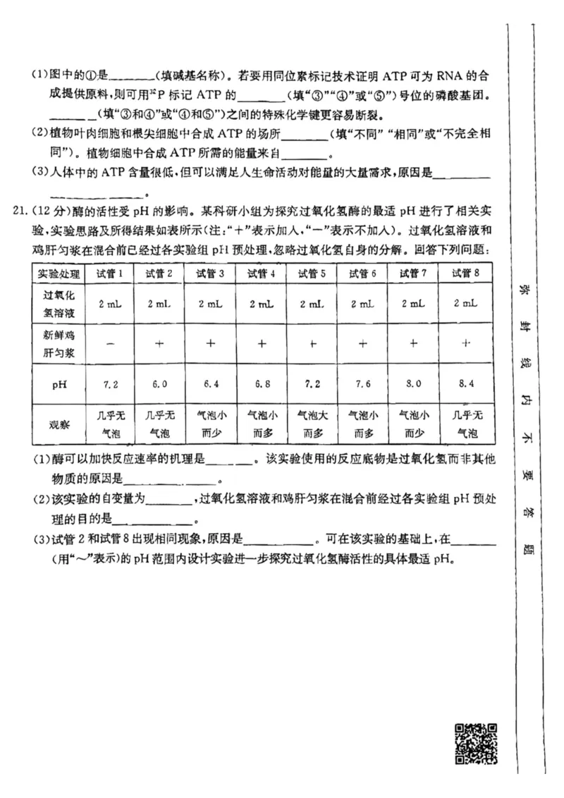 云南省昆明市五华区2024-2025学年高一上学期12月月考生物试题_2024年12月试卷_1230云南省昆明市五华区2024-2025学年高一上学期12月月考试题