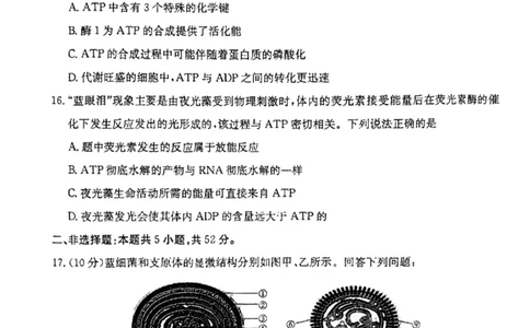 云南省昆明市五华区2024-2025学年高一上学期12月月考生物试题_2024年12月试卷_1230云南省昆明市五华区2024-2025学年高一上学期12月月考试题