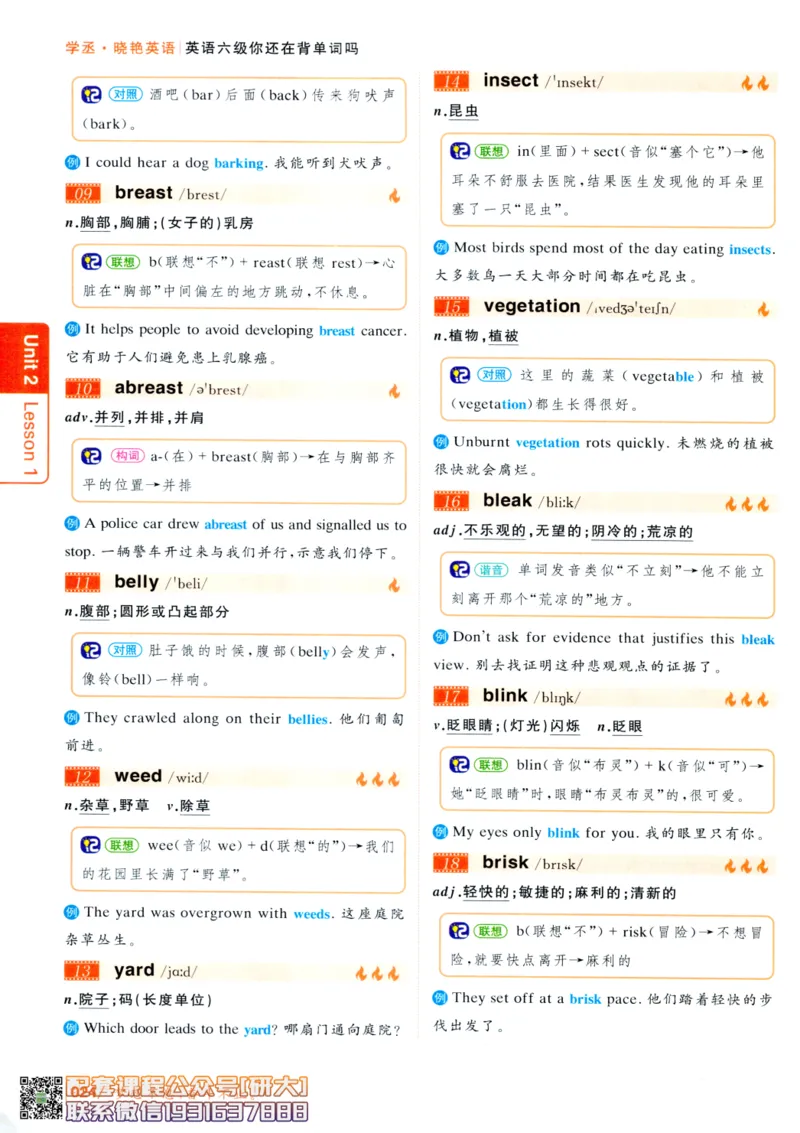 26英语六级-你还在背单词吗--刘晓燕_2026年6月其他机构_06.2026六级英语26年06月_06.2026六级英语刘晓燕班_00.书籍讲义