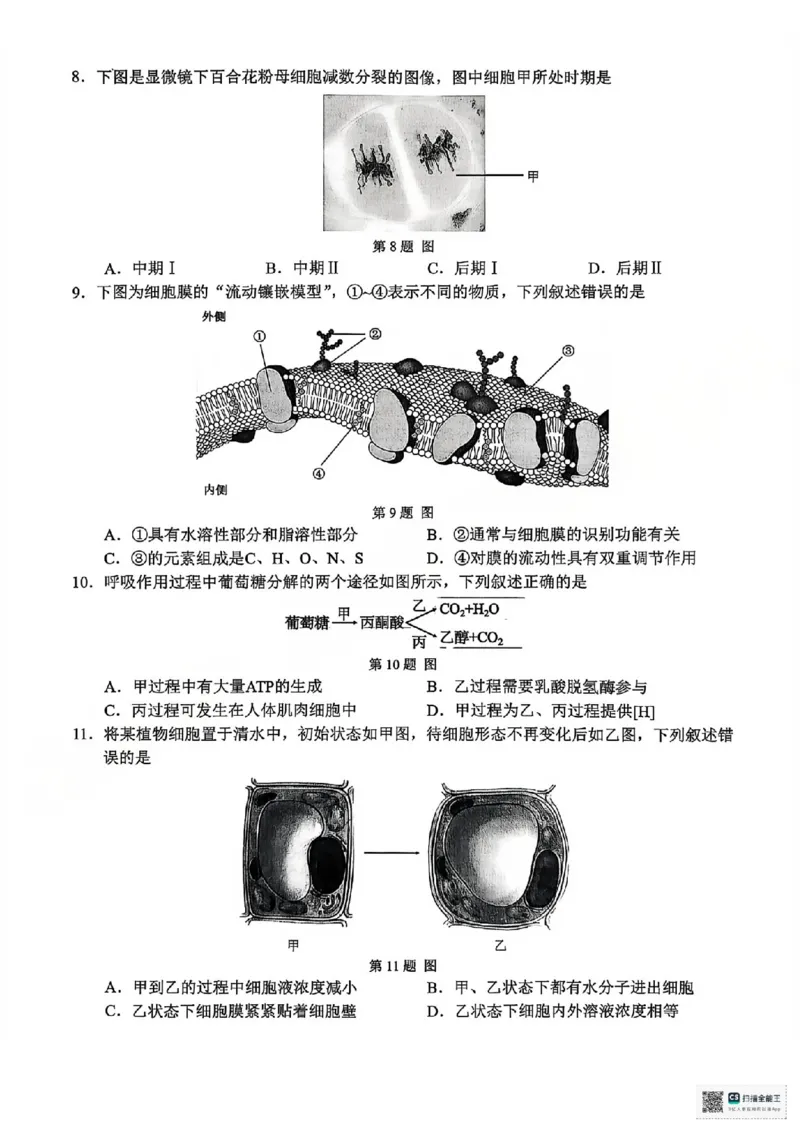 A类生物试题_2026年02月高一试卷_260208浙江省温州市2025-2026学年高一上学期期末（A卷+B卷）（全）_浙江省温州市2025-2026学年高一上学期期末试题A卷