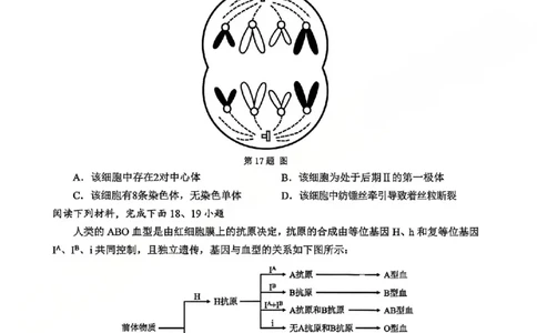 A类生物试题_2026年02月高一试卷_260208浙江省温州市2025-2026学年高一上学期期末（A卷+B卷）（全）_浙江省温州市2025-2026学年高一上学期期末试题A卷