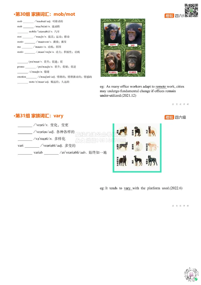 [5.15]--家族词汇32-34vary、tribut、ap_2026年6月其他机构_05.2026四级英语26年06月_09.2026四级英语橙啦老师_00课件