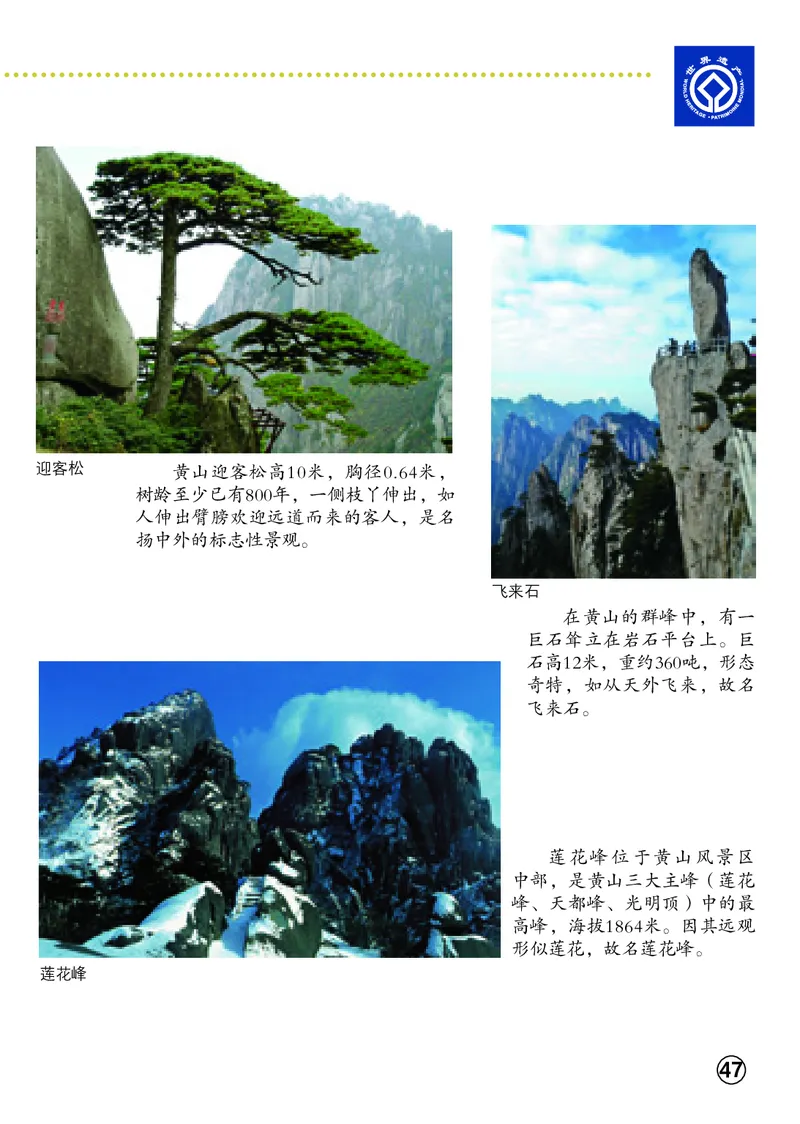 义务教育教科书&middot;美术二年级上册_电子课本_小学电子课本_07美术_辽海版