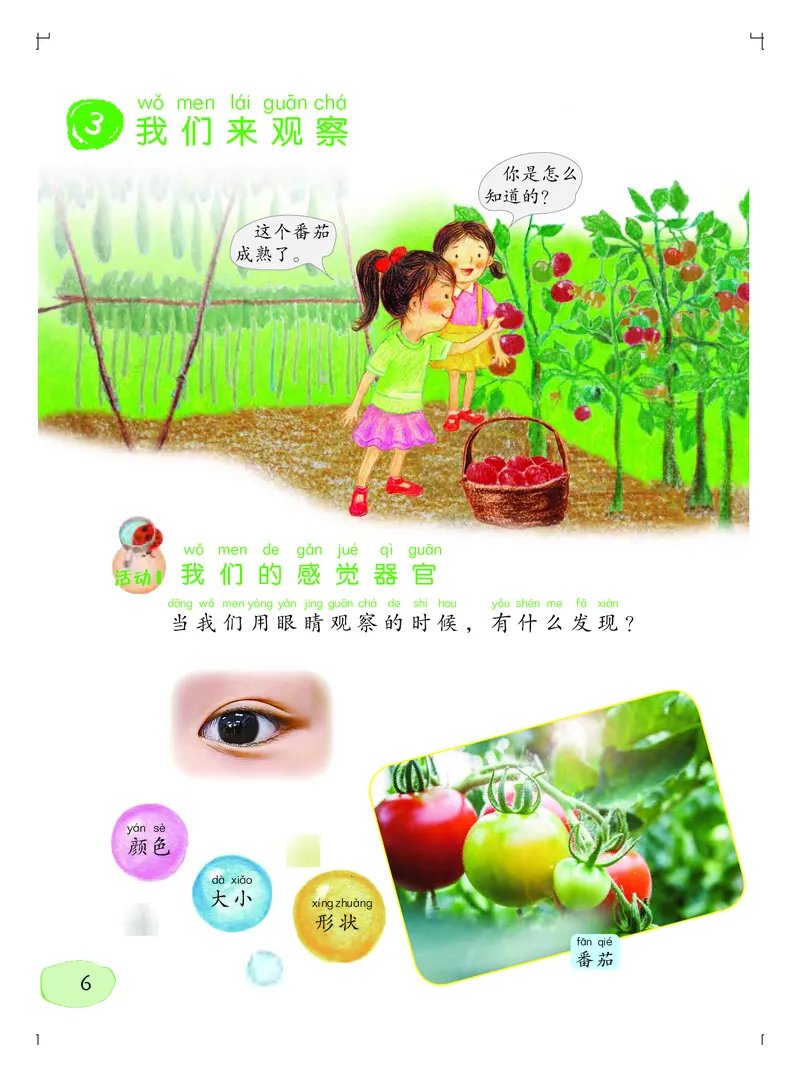 义务教育教科书&middot;科学一年级上册_电子课本_小学电子课本_05科学_粤教粤科版