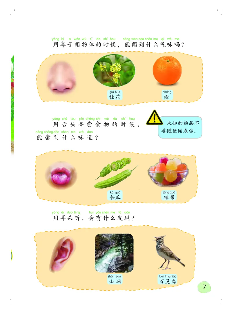 义务教育教科书&middot;科学一年级上册_电子课本_小学电子课本_05科学_粤教粤科版