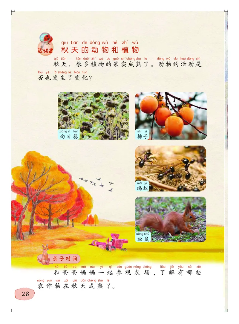 义务教育教科书&middot;科学一年级上册_电子课本_小学电子课本_05科学_粤教粤科版