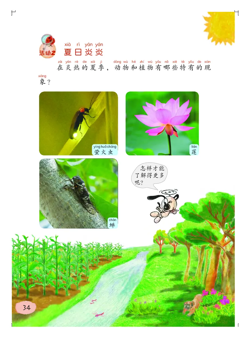 义务教育教科书&middot;科学一年级上册_电子课本_小学电子课本_05科学_粤教粤科版