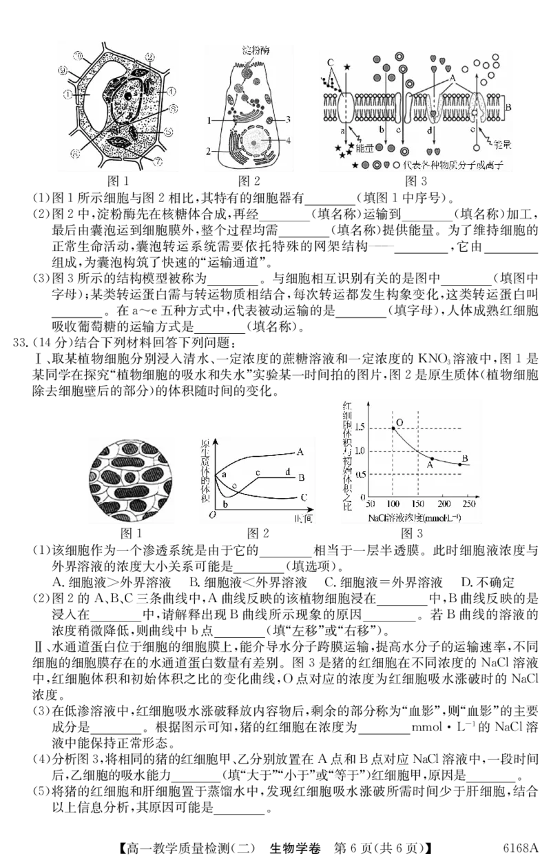 6168A生物学_2025年12月高一试卷_251228纵千文化&middot;广东省2025～2026学年度第一学期八校联盟高一教学质量检测（二）（6168A）（全）