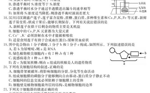 6168A生物学_2025年12月高一试卷_251228纵千文化&middot;广东省2025～2026学年度第一学期八校联盟高一教学质量检测（二）（6168A）（全）