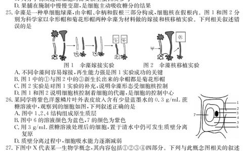 6168A生物学_2025年12月高一试卷_251228纵千文化&middot;广东省2025～2026学年度第一学期八校联盟高一教学质量检测（二）（6168A）（全）