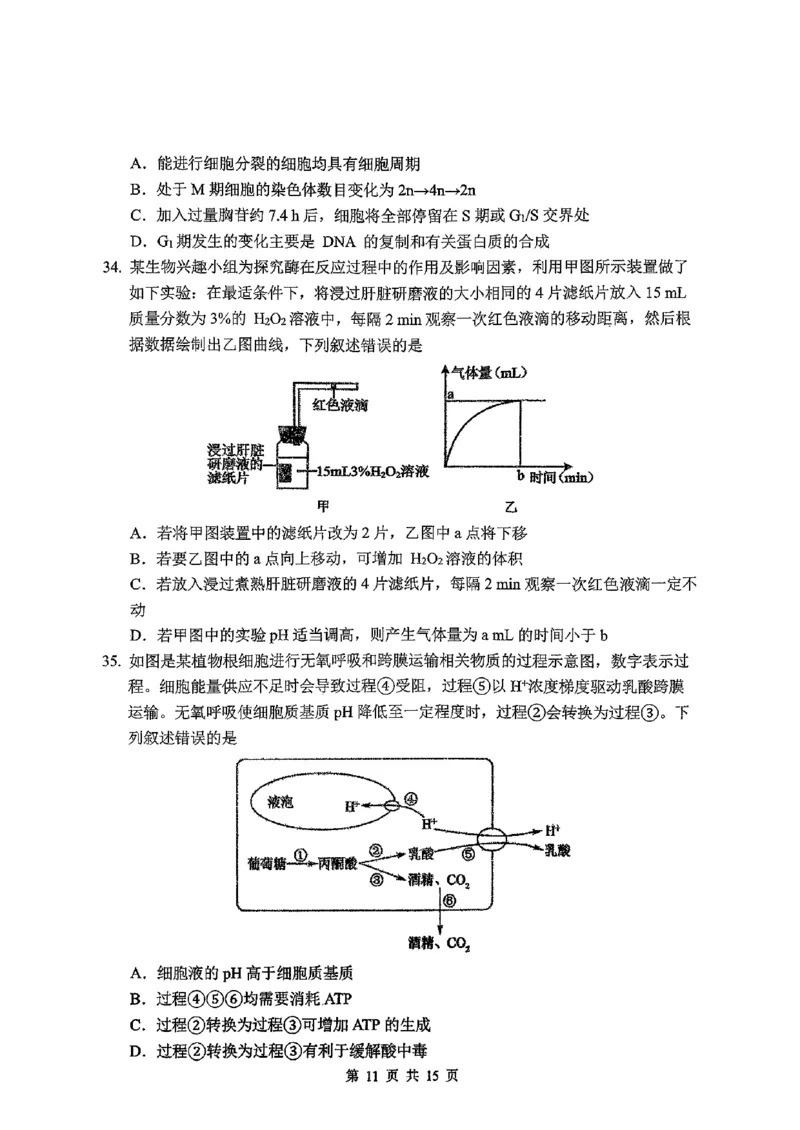 东北师大2025-2026高一上期末生物_2026年01月高一试卷_260125吉林省长春市东北师大附中2025-2026学年高一上学期期末_吉林省长春市东北师大附中2025-2026学年高一上学期期末生物试题含答案