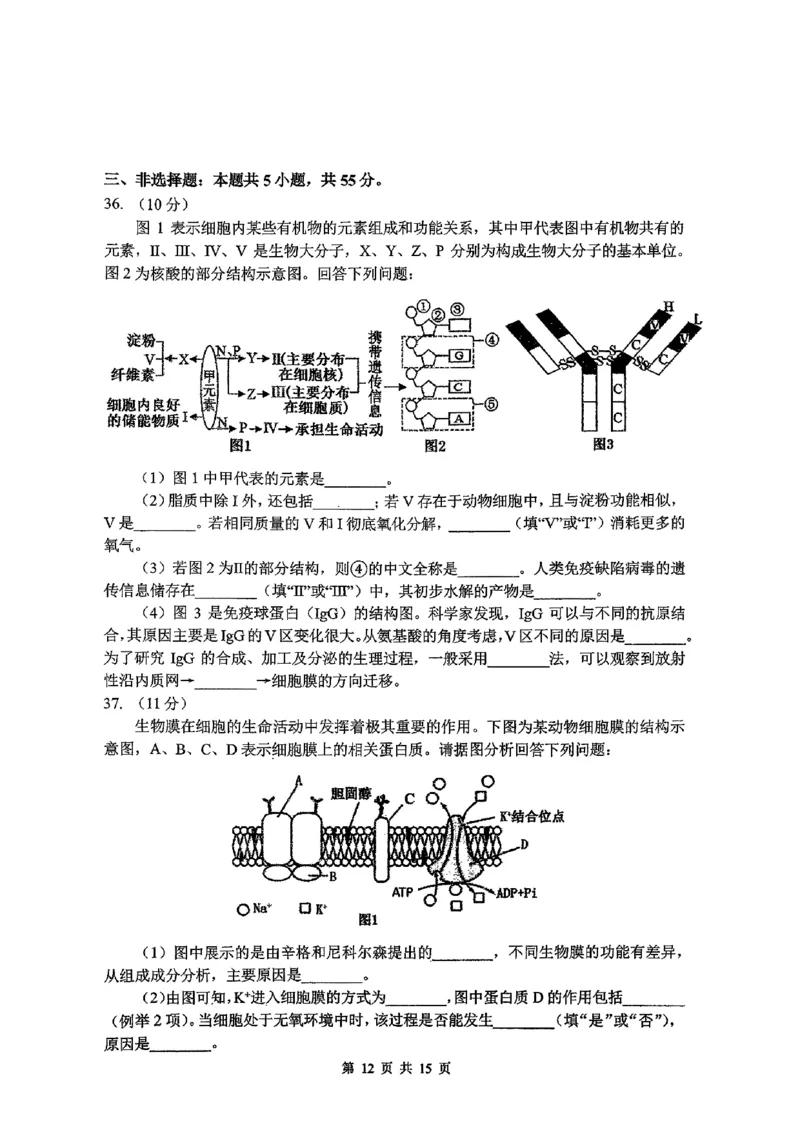 东北师大2025-2026高一上期末生物_2026年01月高一试卷_260125吉林省长春市东北师大附中2025-2026学年高一上学期期末_吉林省长春市东北师大附中2025-2026学年高一上学期期末生物试题含答案