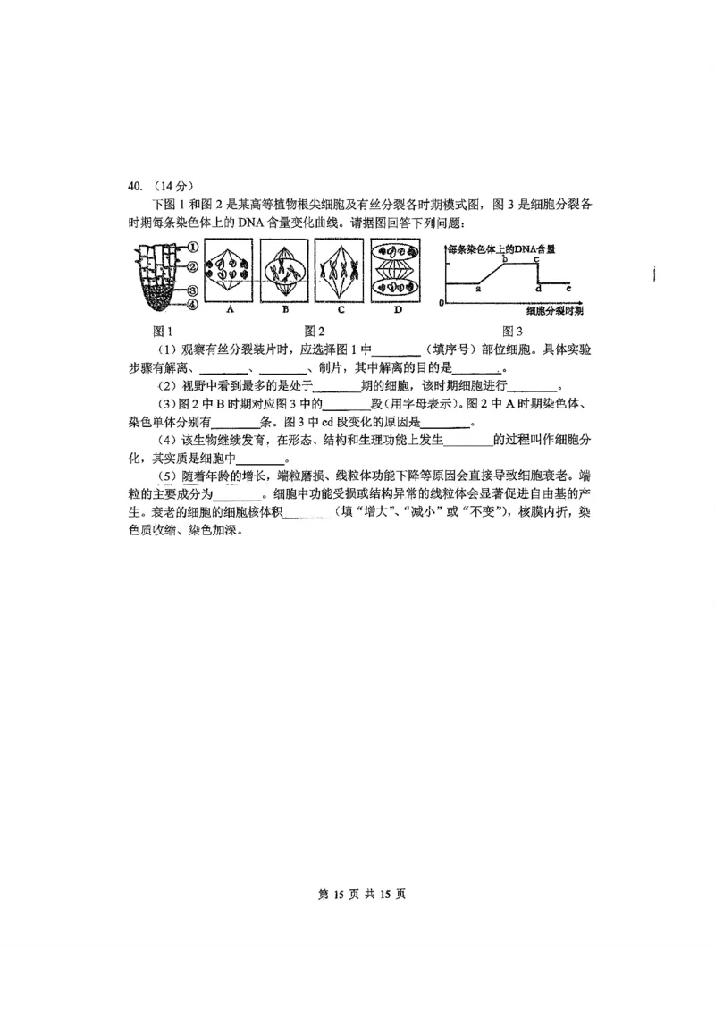 东北师大2025-2026高一上期末生物_2026年01月高一试卷_260125吉林省长春市东北师大附中2025-2026学年高一上学期期末_吉林省长春市东北师大附中2025-2026学年高一上学期期末生物试题含答案
