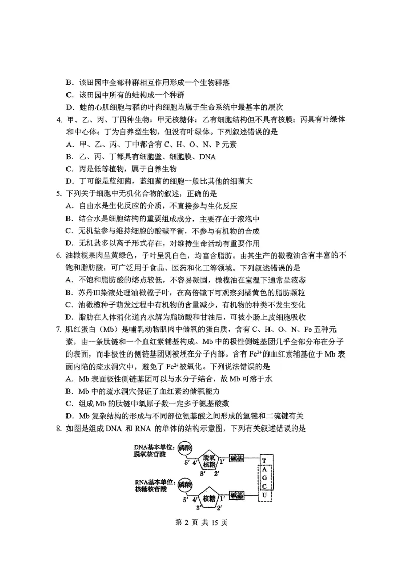 东北师大2025-2026高一上期末生物_2026年01月高一试卷_260125吉林省长春市东北师大附中2025-2026学年高一上学期期末_吉林省长春市东北师大附中2025-2026学年高一上学期期末生物试题含答案