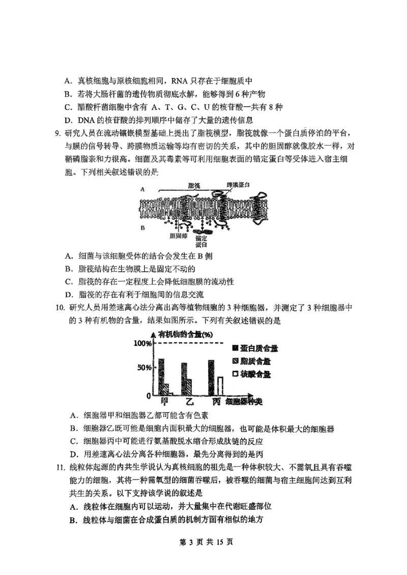 东北师大2025-2026高一上期末生物_2026年01月高一试卷_260125吉林省长春市东北师大附中2025-2026学年高一上学期期末_吉林省长春市东北师大附中2025-2026学年高一上学期期末生物试题含答案