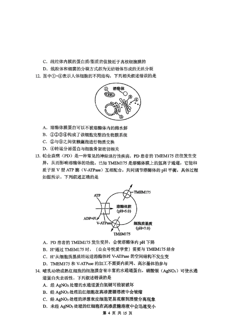 东北师大2025-2026高一上期末生物_2026年01月高一试卷_260125吉林省长春市东北师大附中2025-2026学年高一上学期期末_吉林省长春市东北师大附中2025-2026学年高一上学期期末生物试题含答案