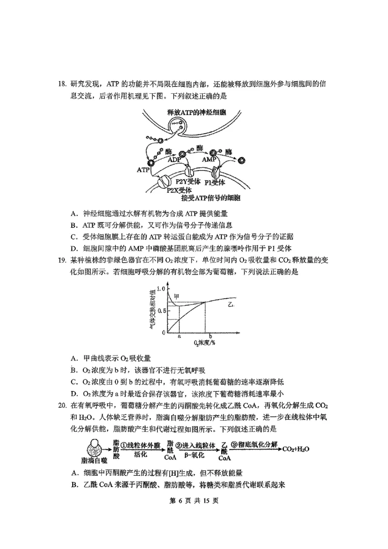 东北师大2025-2026高一上期末生物_2026年01月高一试卷_260125吉林省长春市东北师大附中2025-2026学年高一上学期期末_吉林省长春市东北师大附中2025-2026学年高一上学期期末生物试题含答案